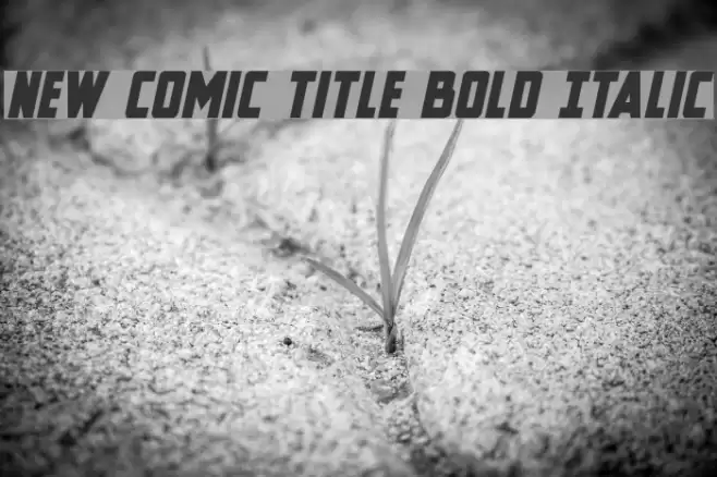 New Comic Title Bold Italic Font examples
