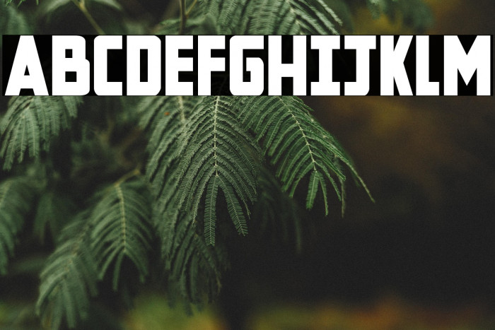 New Comic Title Bold Example 2