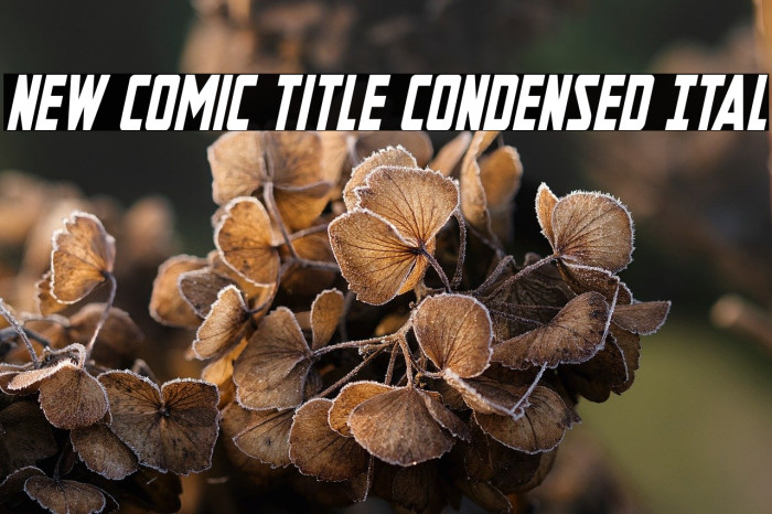 New Comic Title Condensed Ital Example 2