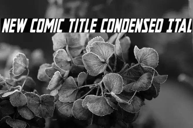 New Comic Title Condensed Ital Example 2