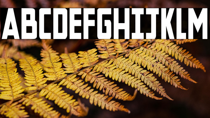 New Comic Title Condensed Example 3