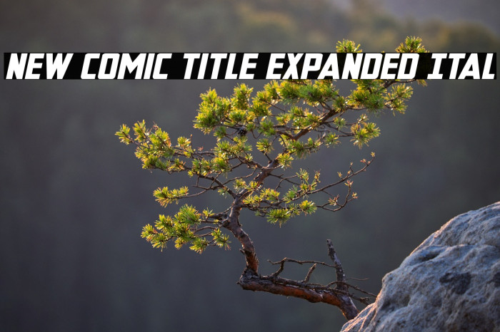 New Comic Title Expanded Ital Example 1