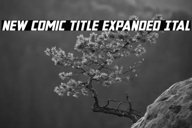 New Comic Title Expanded Ital Font examples