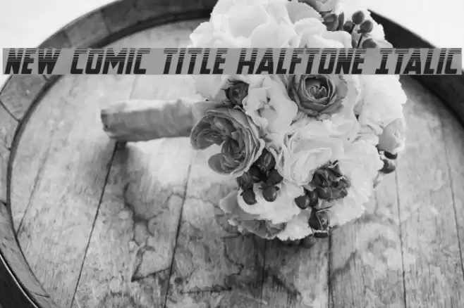 New Comic Title Halftone Italic Font examples