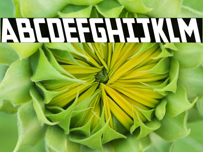 New Comic Title Leftalic Example 1