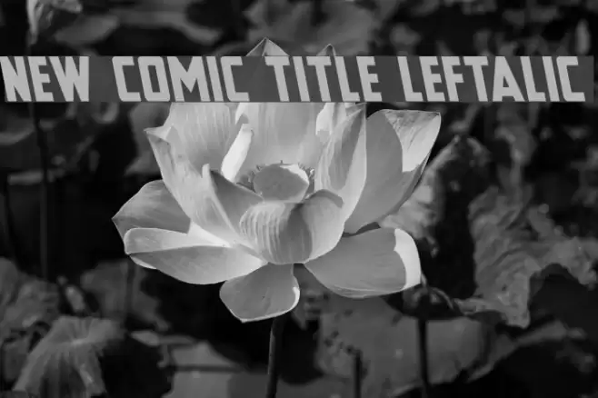 New Comic Title Leftalic Font examples