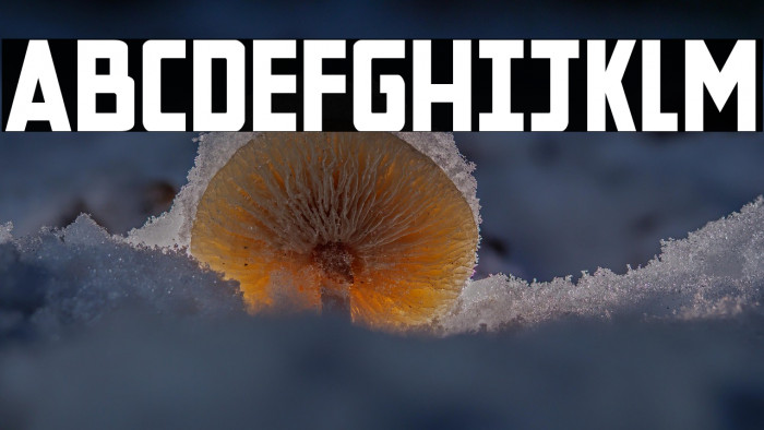 New Comic Title Example 2