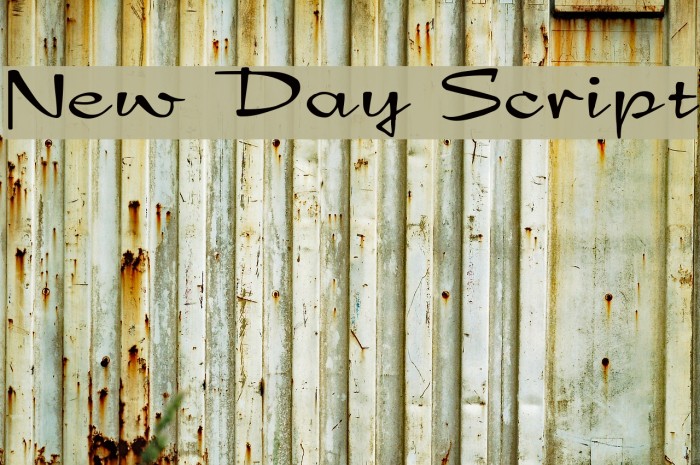 New Day Script フォント examples