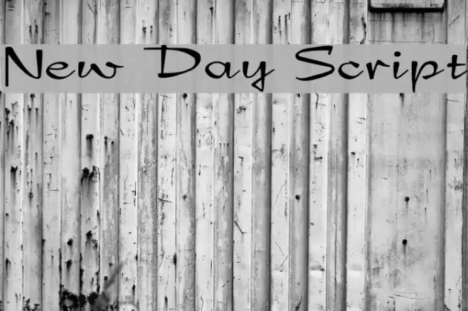 New Day Script Schriftart examples