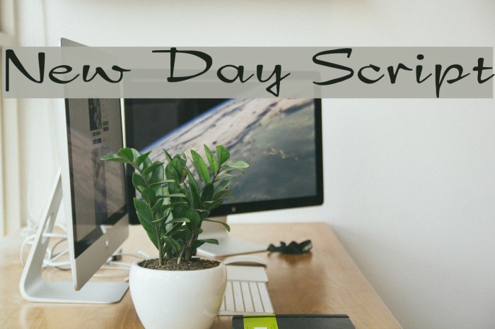 New Day Script フォント examples
