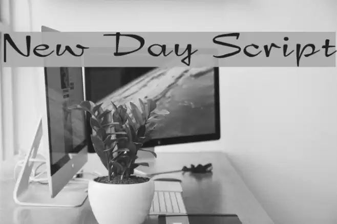 New Day Script Schriftart examples
