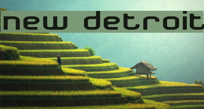New Detroit Шрифта examples