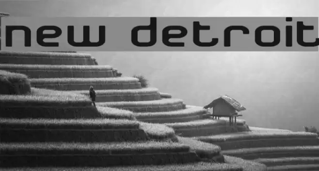 New Detroit Font examples