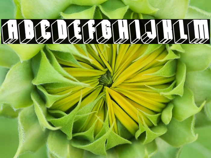 New Dimension Example 2