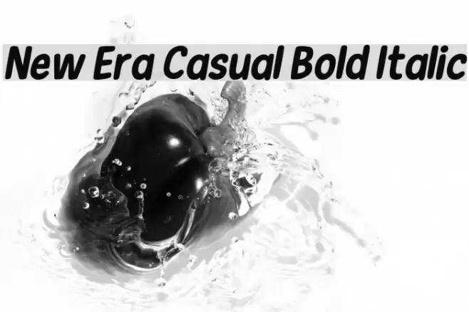 New Era Casual Bold Italic  examples