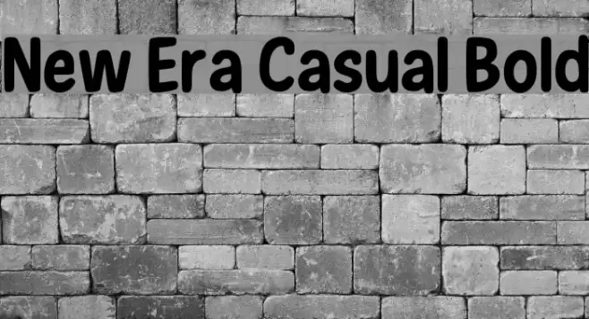 New Era Casual Bold Font examples