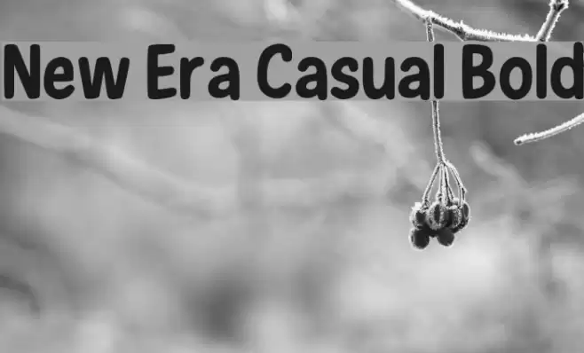 New Era Casual Bold Font examples