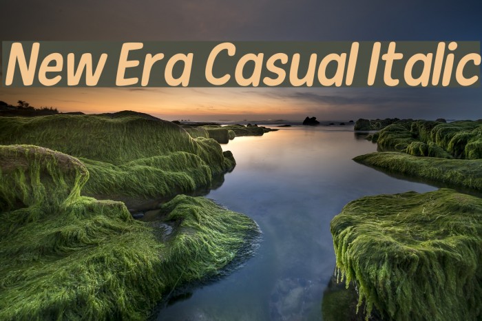 New Era Casual Italic Font examples