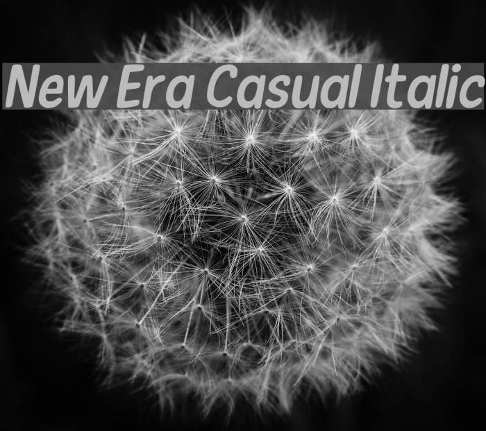 New Era Casual Italic Font examples