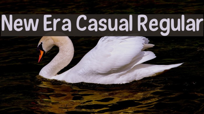 New Era Casual Regular Font examples
