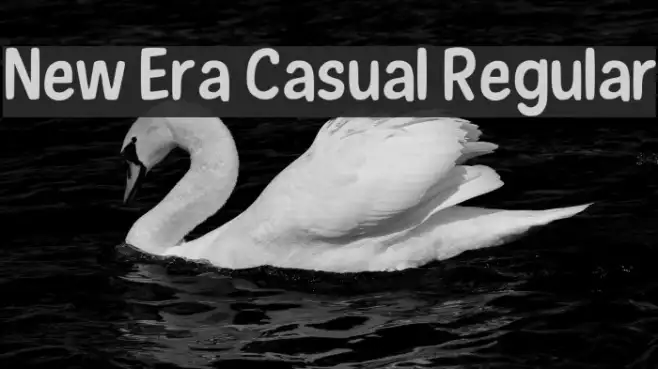 New Era Casual Regular Example 1