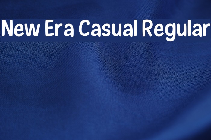 New Era Casual Regular Font examples