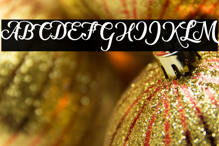 New Era Personal Use  Example 1