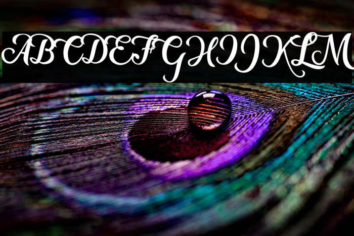 New Era Personal Use  Example 2