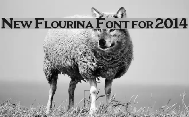 New Flourina Font for 2014 Fonte examples
