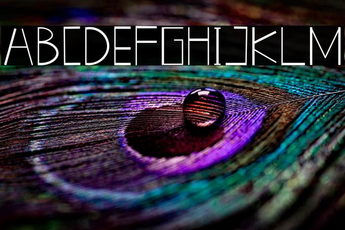 New GLADISHdemo Fancy Example 1