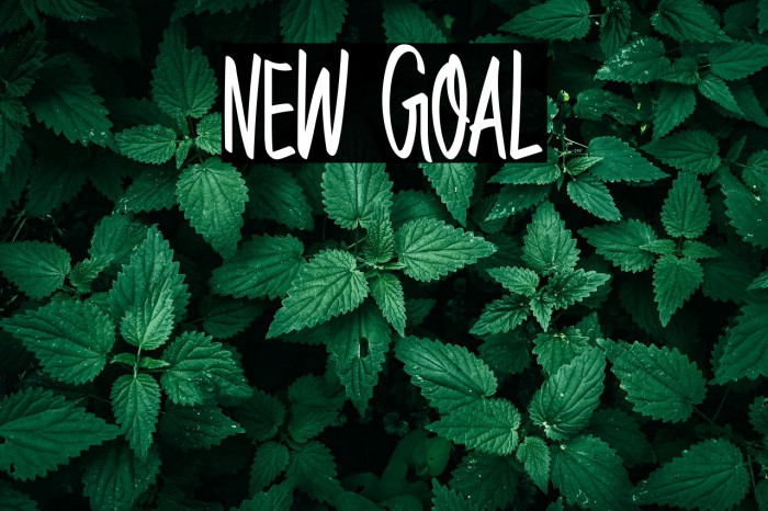 New Goal Caratteri examples