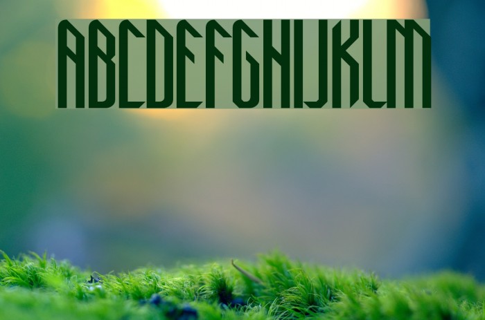 New Gothic Style Font examples