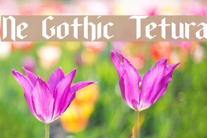 New Gothic Textura Font examples