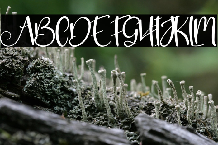 New Grinch Example 1