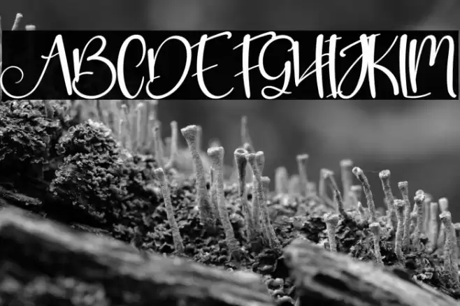 New Grinch Caratteri examples