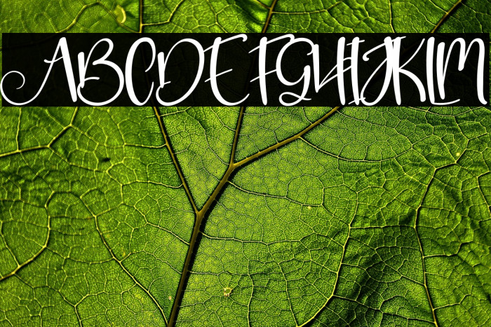 New Grinch Example 3