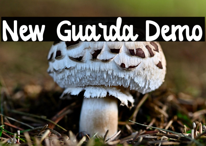 New Guarda Demo Example 3