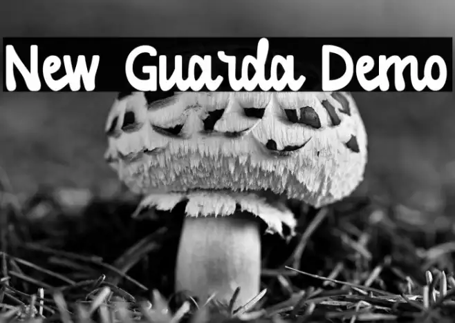 New Guarda Demo Example 3