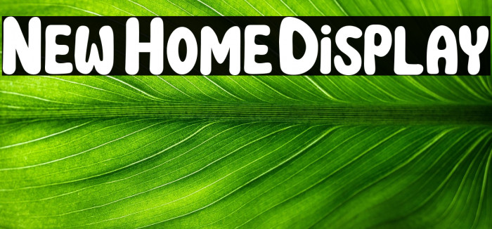 New Home Display Example 3