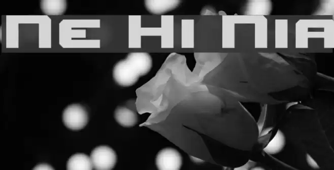 New Horizons Nominal Schriftart examples