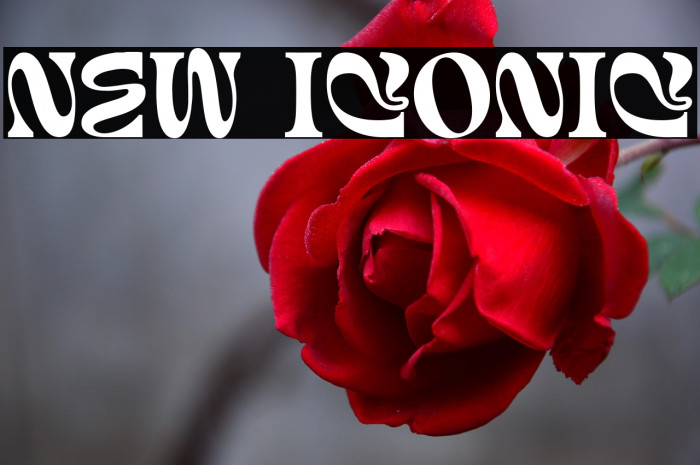 New Iconic Example 1