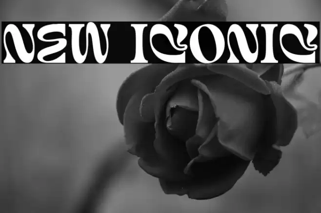New Iconic फ़ॉन्ट examples