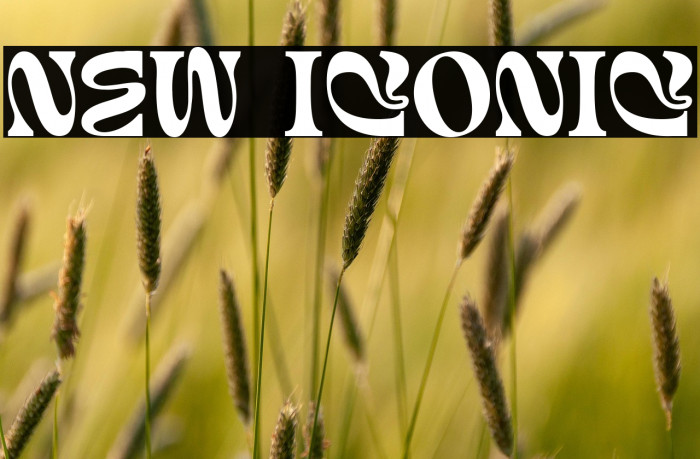 New Iconic Example 3