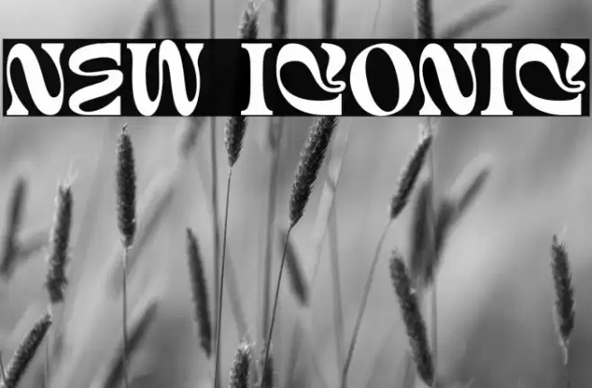 New Iconic फ़ॉन्ट examples