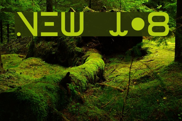 New Job Font examples