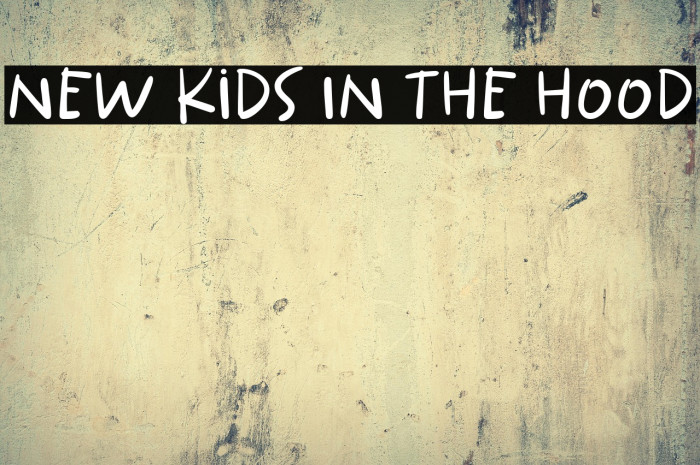 New Kids In The Hood Example 2