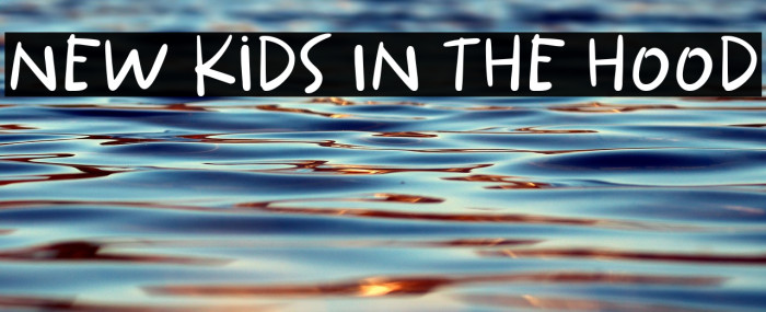 New Kids In The Hood Example 3