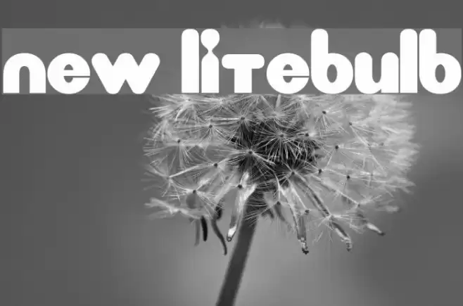 New LiteBulb  examples