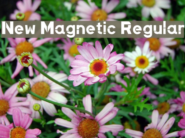 New Magnetic Regular Font examples