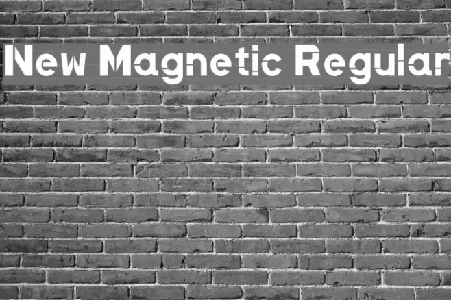 New Magnetic Regular Example 2